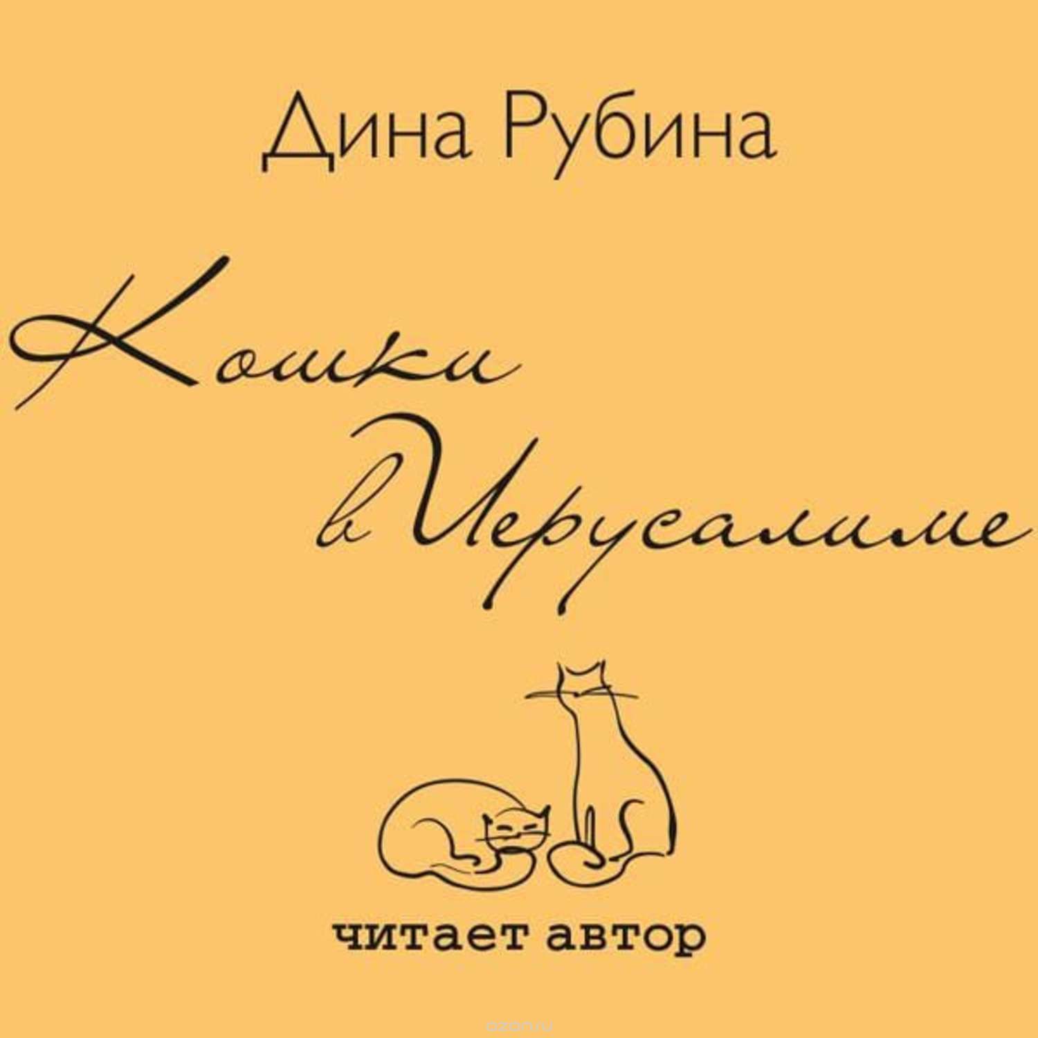 Кошки в Иерусалиме book cover