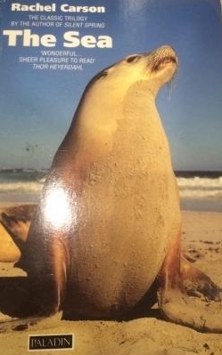 The Sea book cover