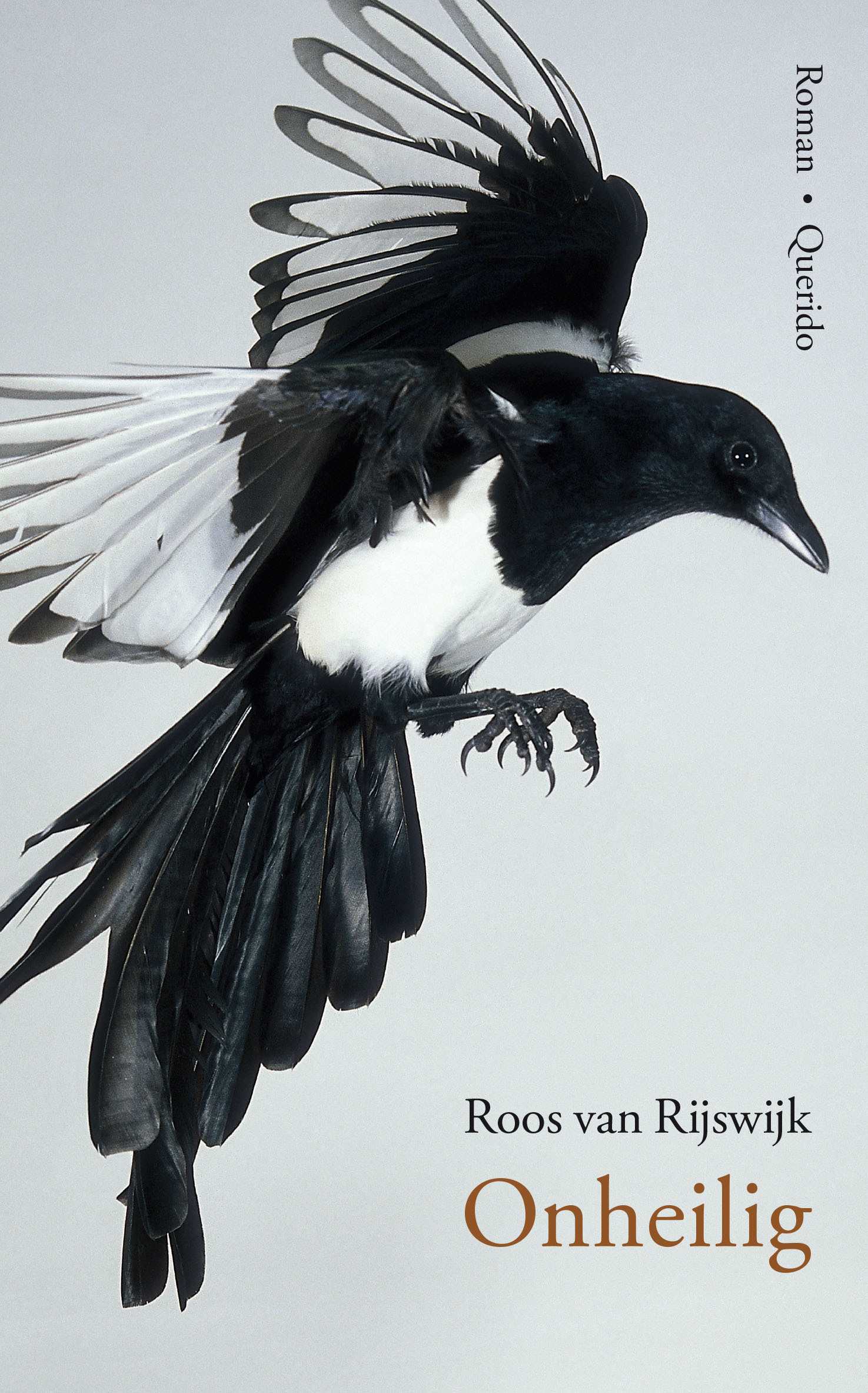 Onheilig book cover