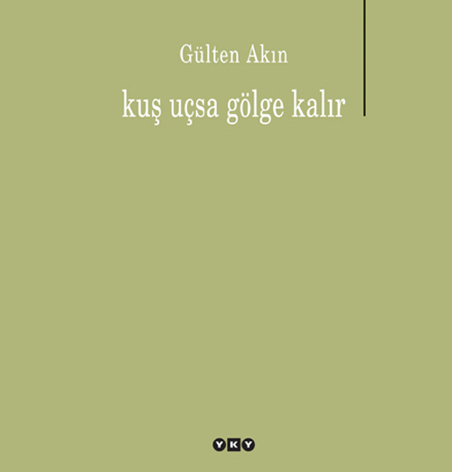 Kuş Uçsa Gölge Kalır book cover