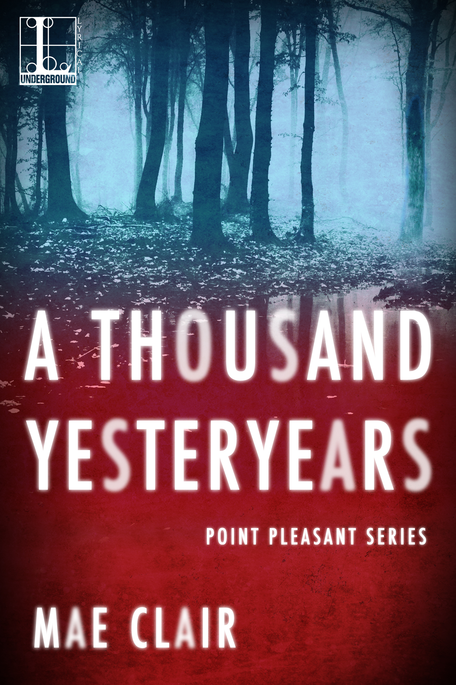 Point Pleasant book cover 1