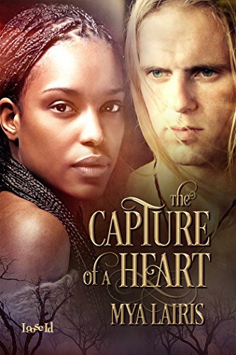 Capture of a Heart book cover