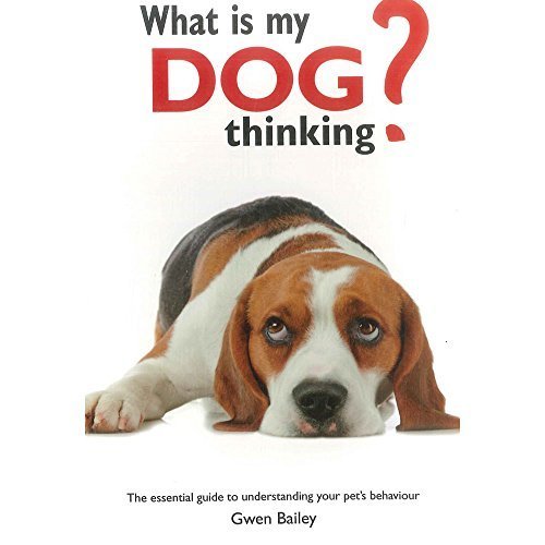 what-is-my-dog-thinking-by-bailey-gwen-goodreads