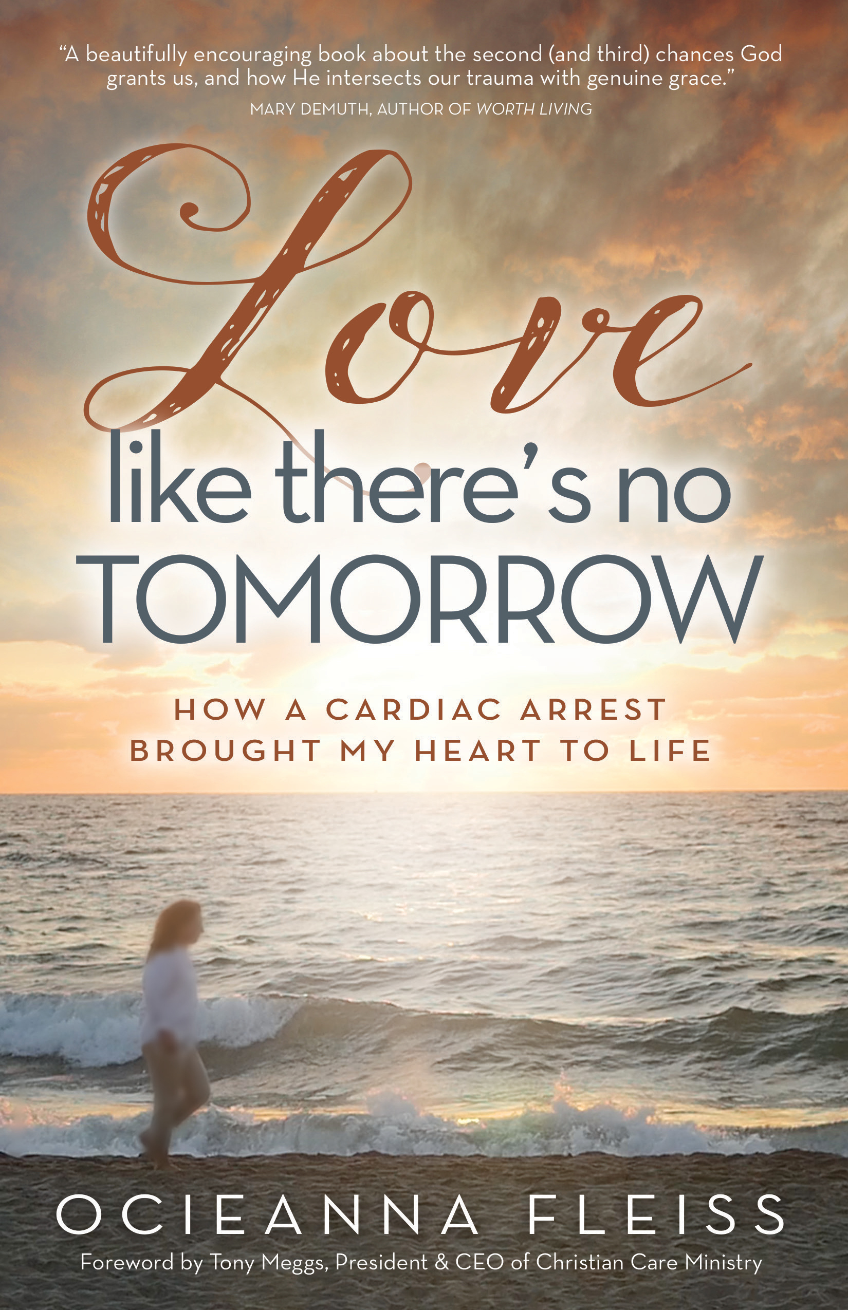 Love Like There's No Tomorrow book cover