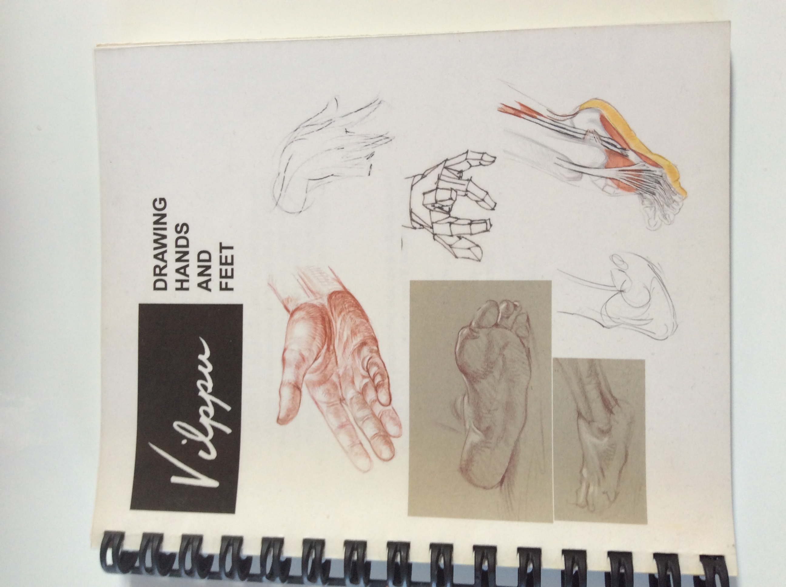 Drawing hands and feet by Vilppu Goodreads