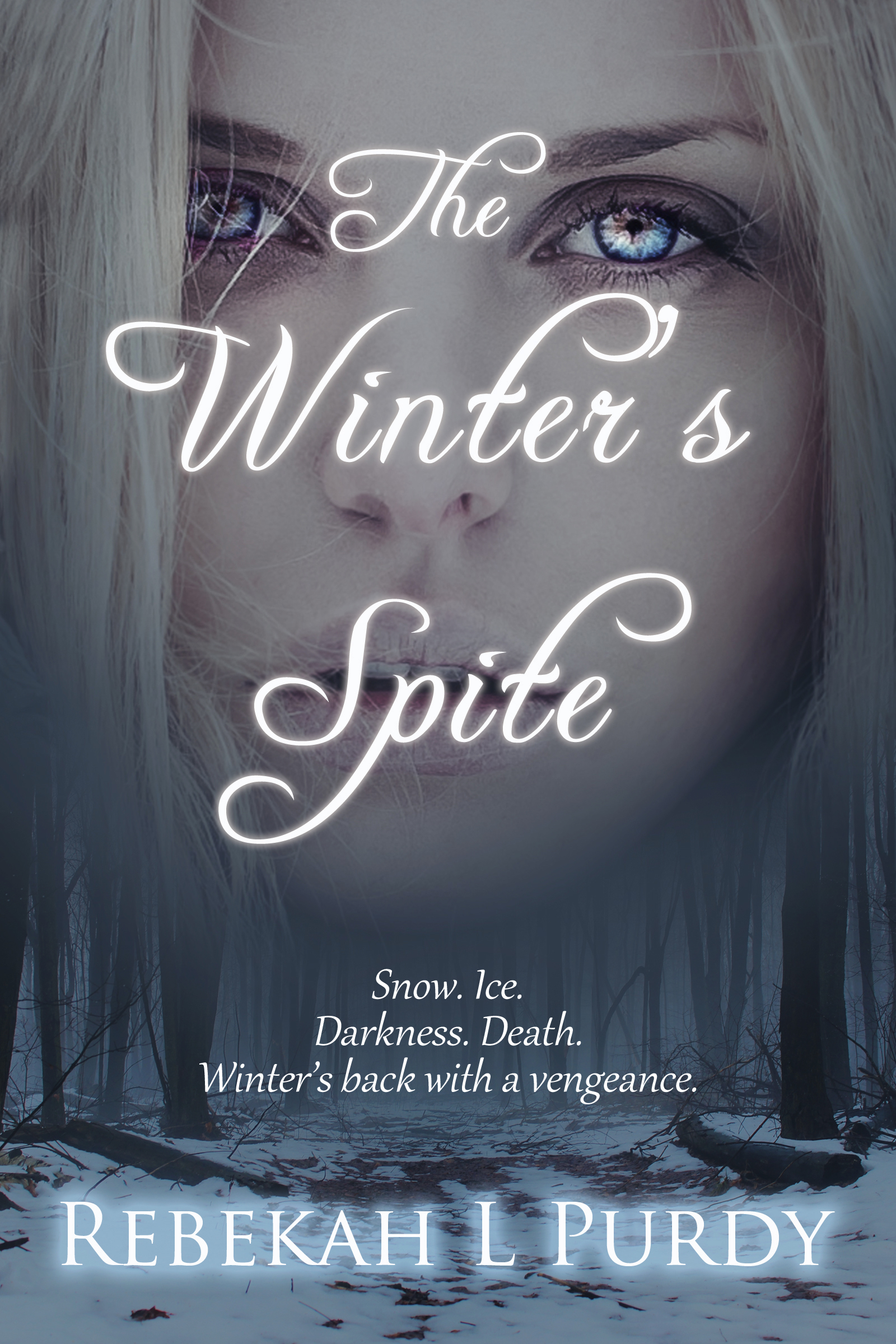 The Winter People book cover 3