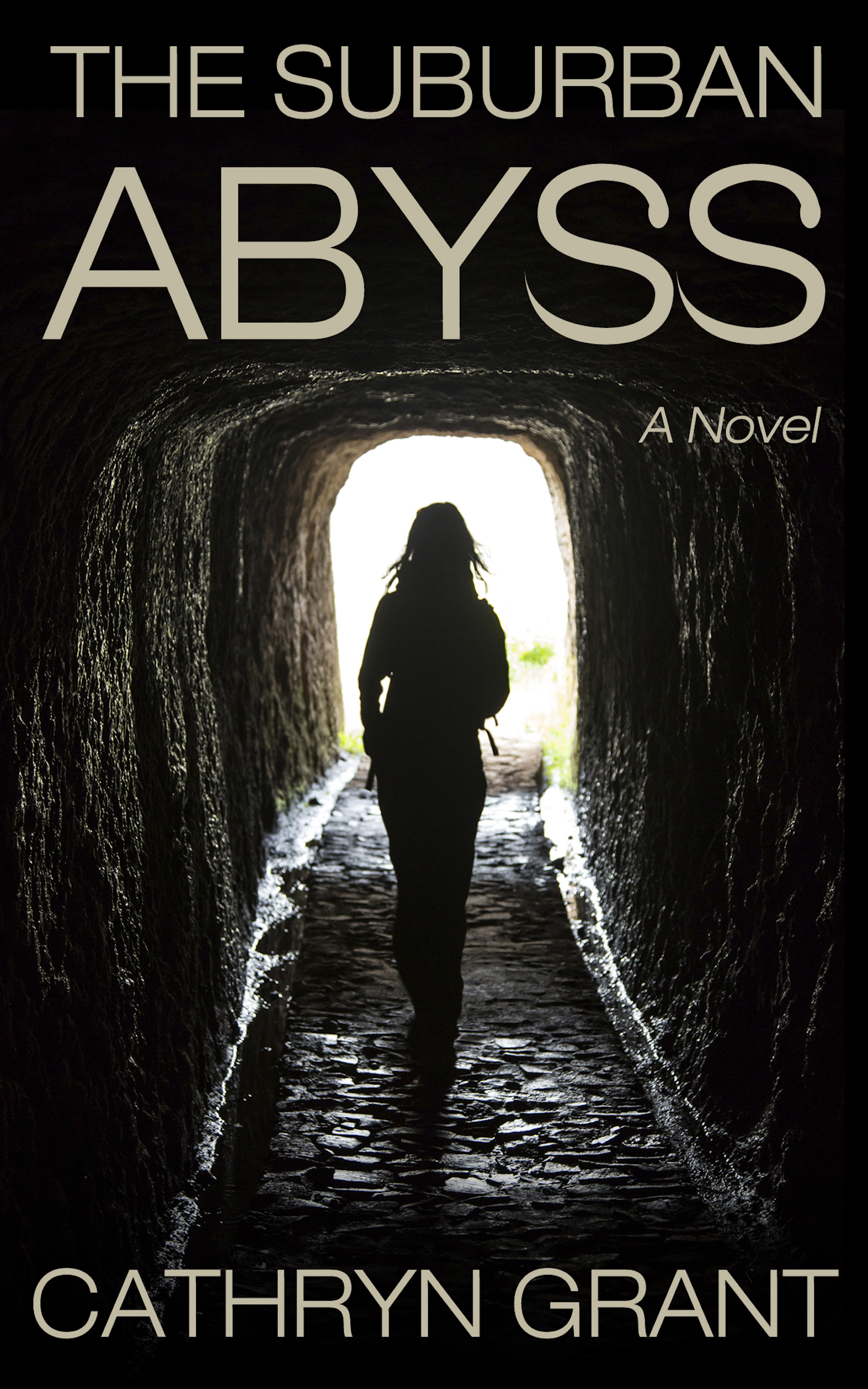 The Suburban Abyss book cover