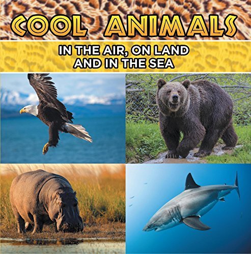 Cool Animals: In The Air, On Land and In The Sea: Animal Encyclopedia for Kids - Wildlife