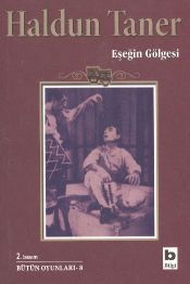 Eşeğin Gölgesi book cover