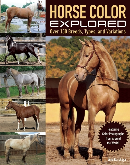 Horse Color Explored: Over 150 Breeds, Types, and Variations by Vera ...