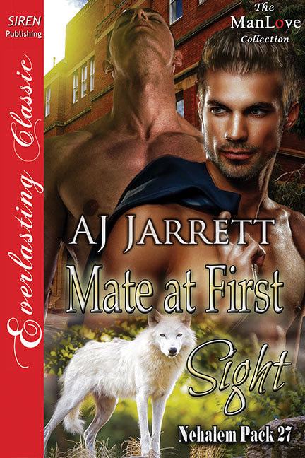 Mate at First Sight book cover