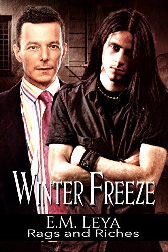 Winter Freeze book cover