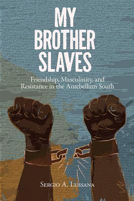 My Brother Slaves book cover