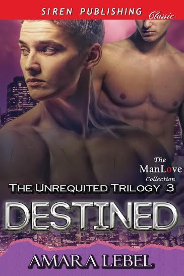 The Unrequited Trilogy book cover 3