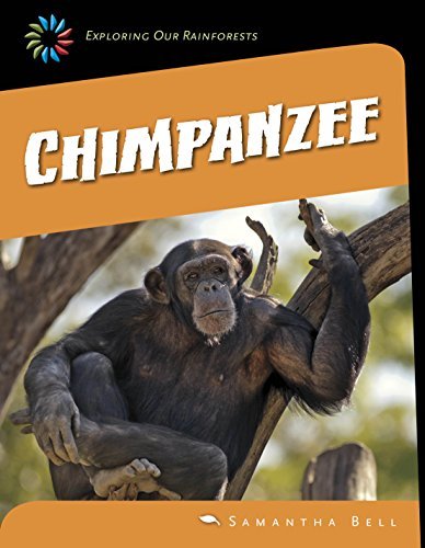 Chimpanzee by Samantha Bell | Goodreads