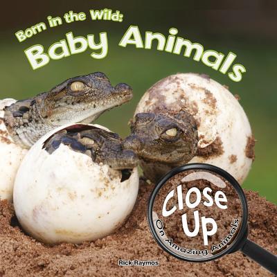 Born in the Wild book cover