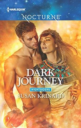 Dark Journey book cover