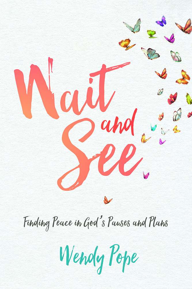 Wait and See: Finding Peace in God's Pauses and Plans