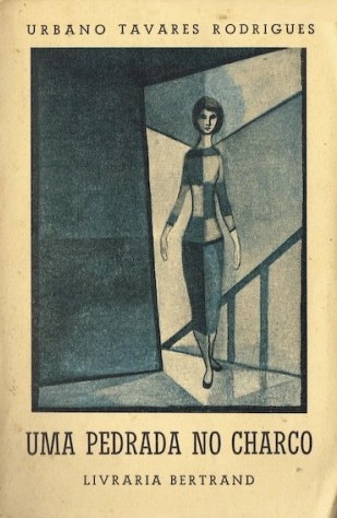Uma Pedrada no Charco book cover