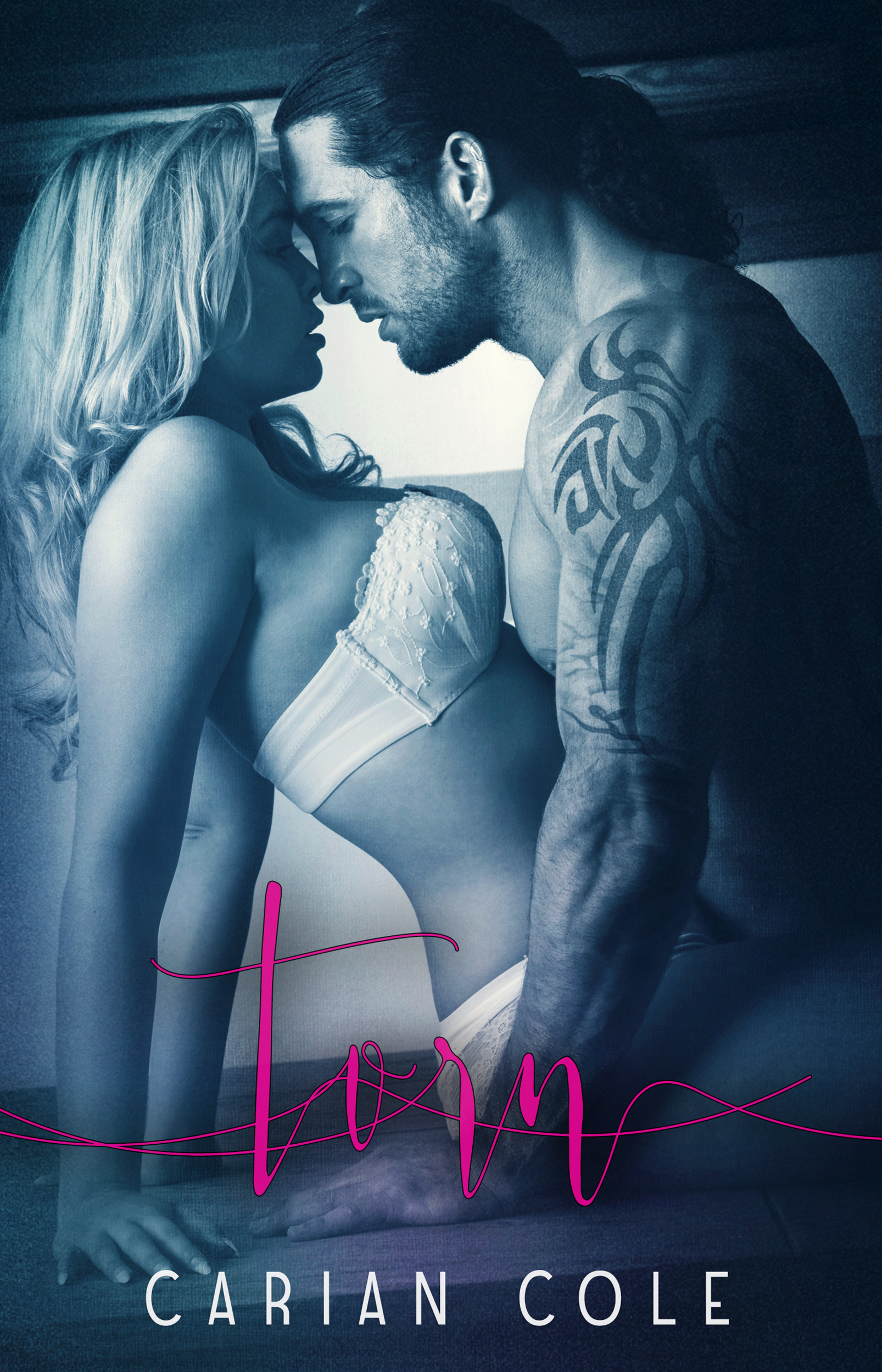 Torn (All Torn Up, #1)
