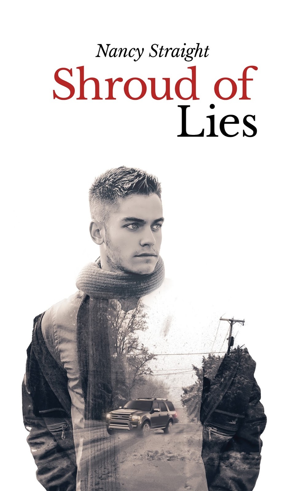 Brewer Brothers book cover 3