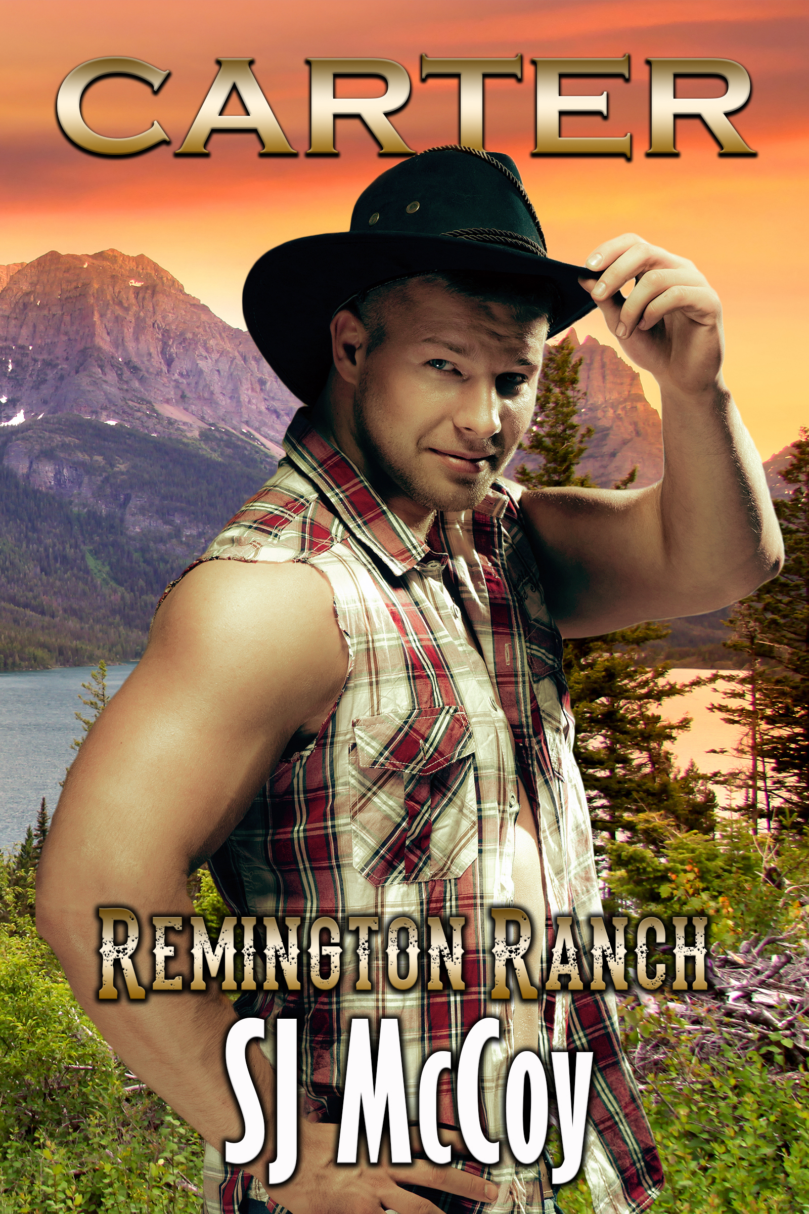 Remington Ranch book cover 3