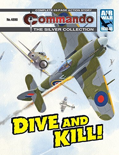 Commando #4890 book cover