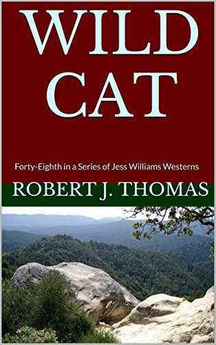 Wildcat book cover