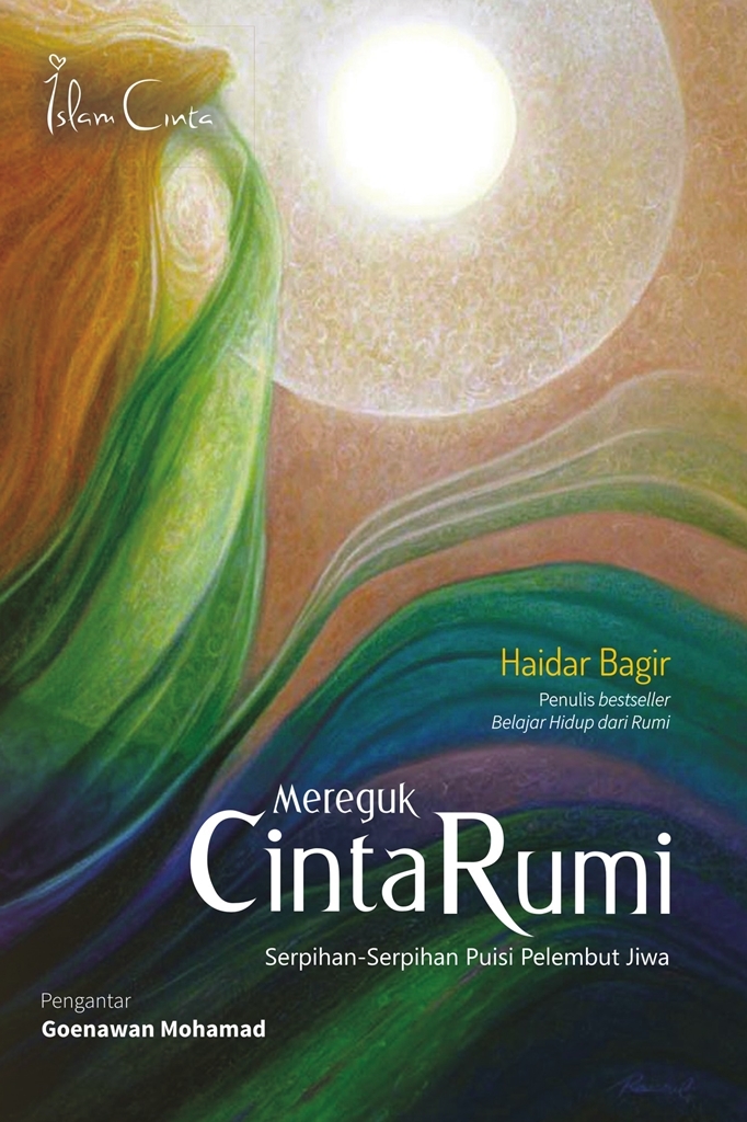 Mereguk Cinta Rumi book cover