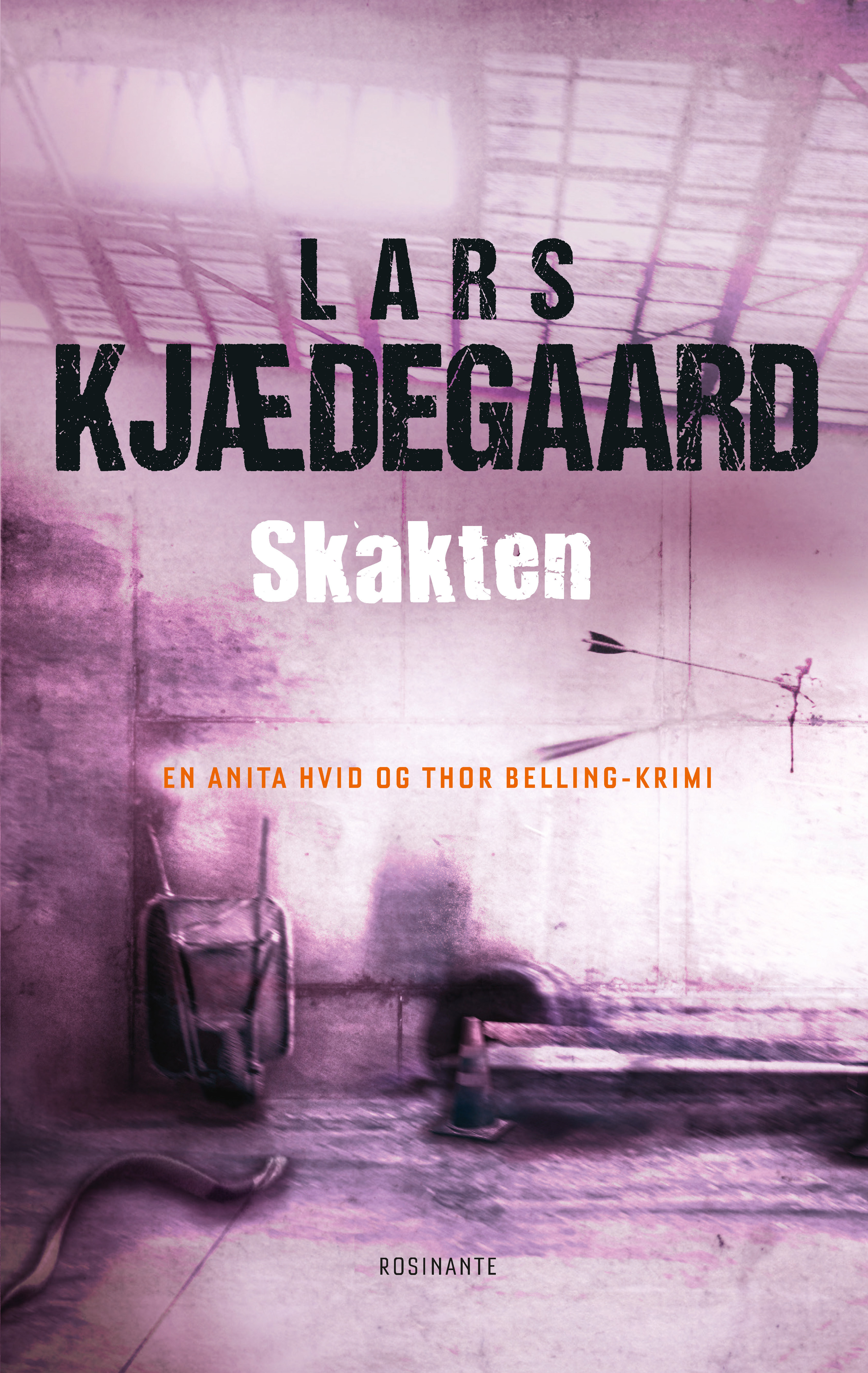 Skakten book cover