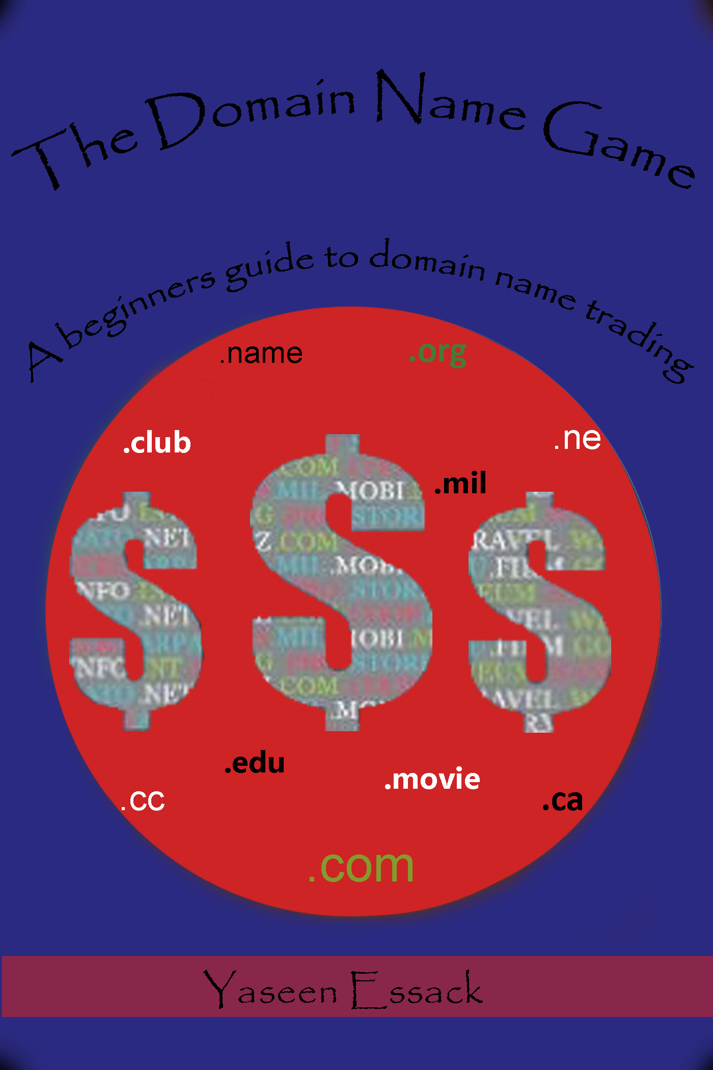 The Domain Name Game by Yaseen Essack | Goodreads