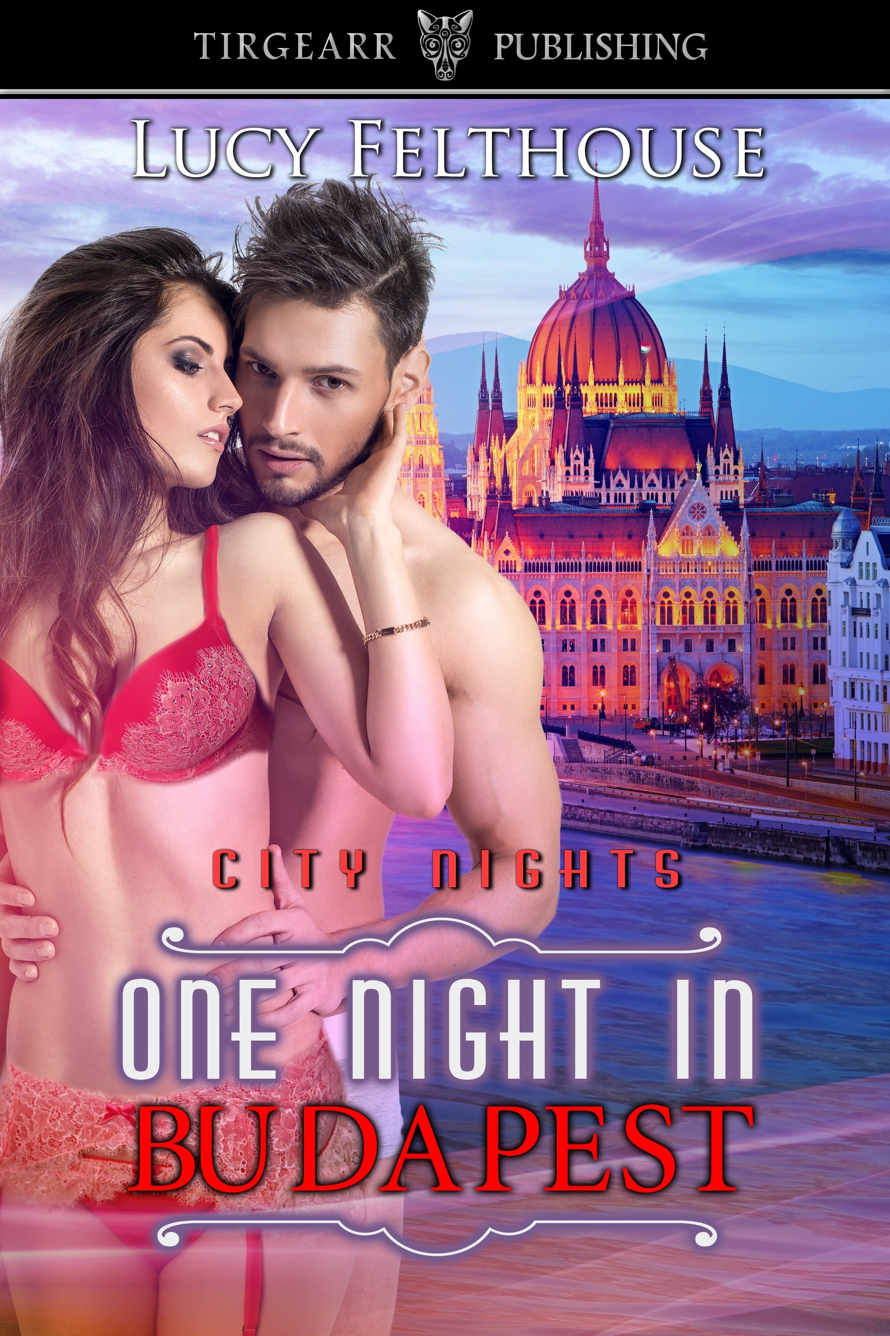 One Night in Budapest book cover