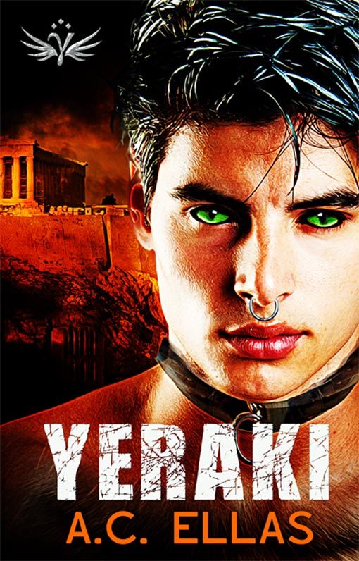 Rovani Chronicles book cover 1