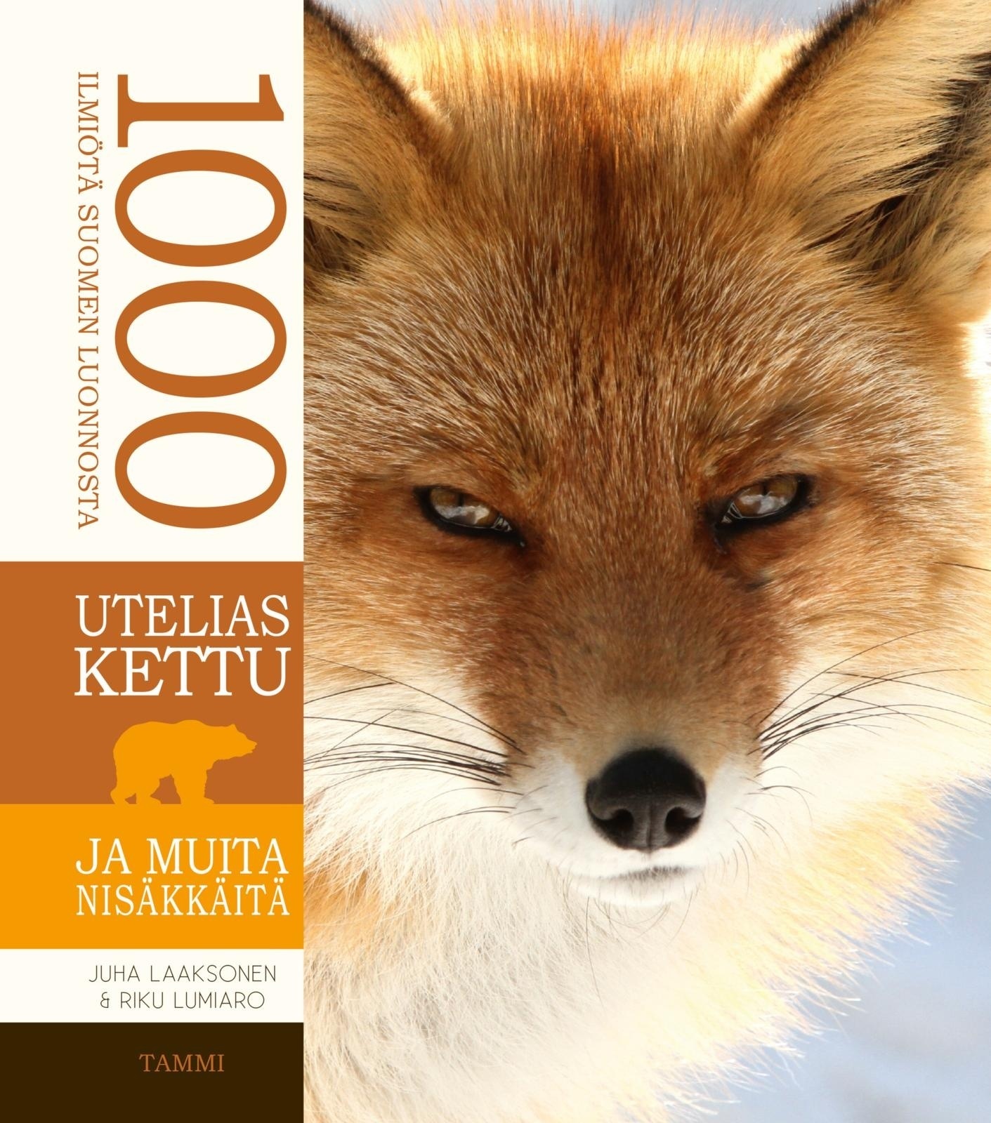 Utelias kettu ja muita nisäkkäitä