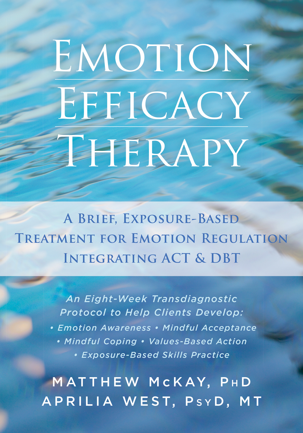 Emotion Efficacy Therapy book cover