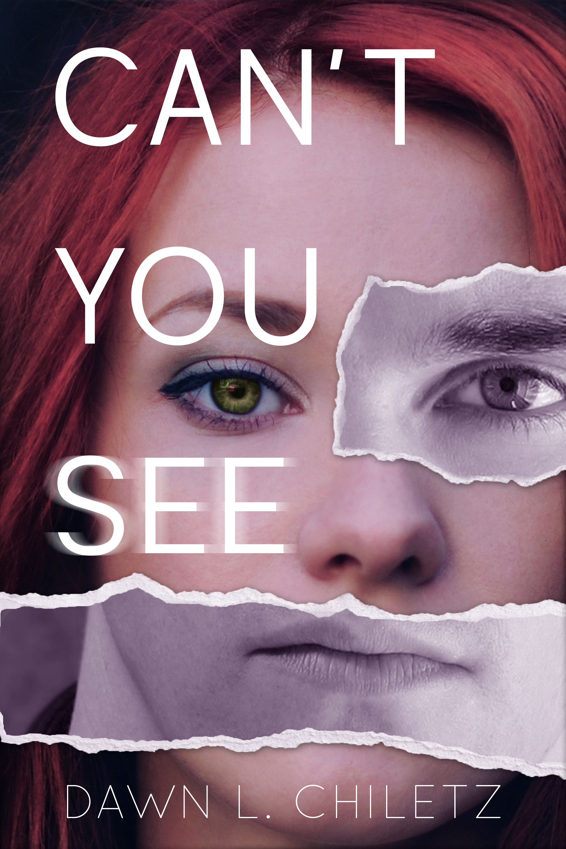 Can't You See book cover
