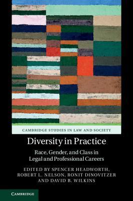 Diversity in Practice book cover