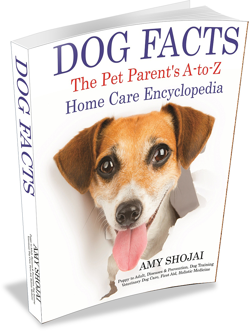 Dog Facts book cover