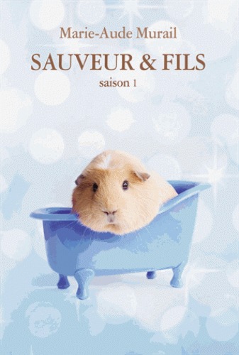 Sauveur & Fils Saison 1