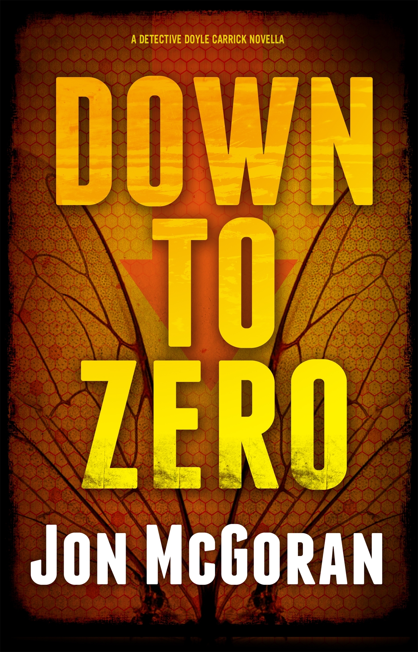 Down to Zero book cover