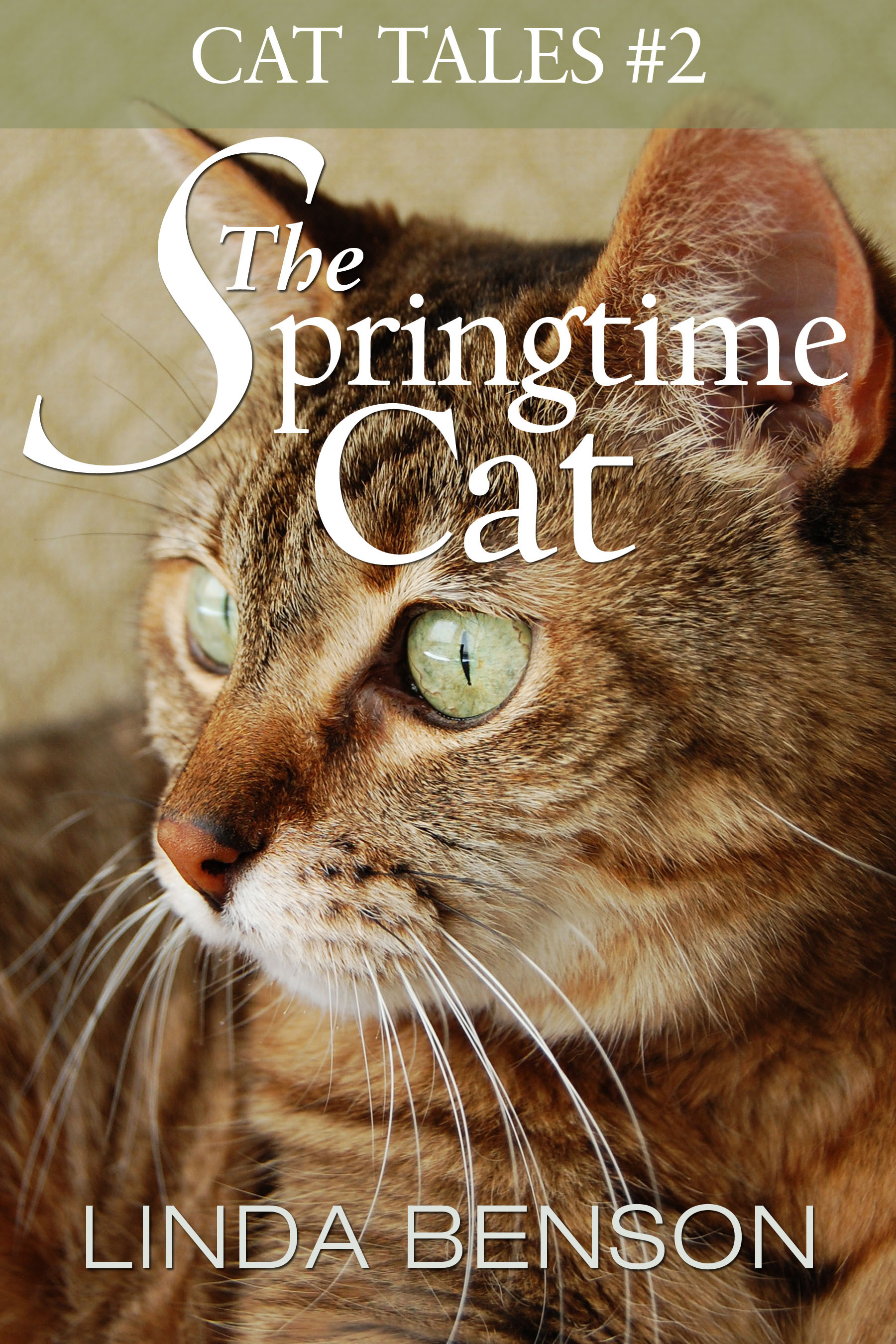 The Springtime Cat