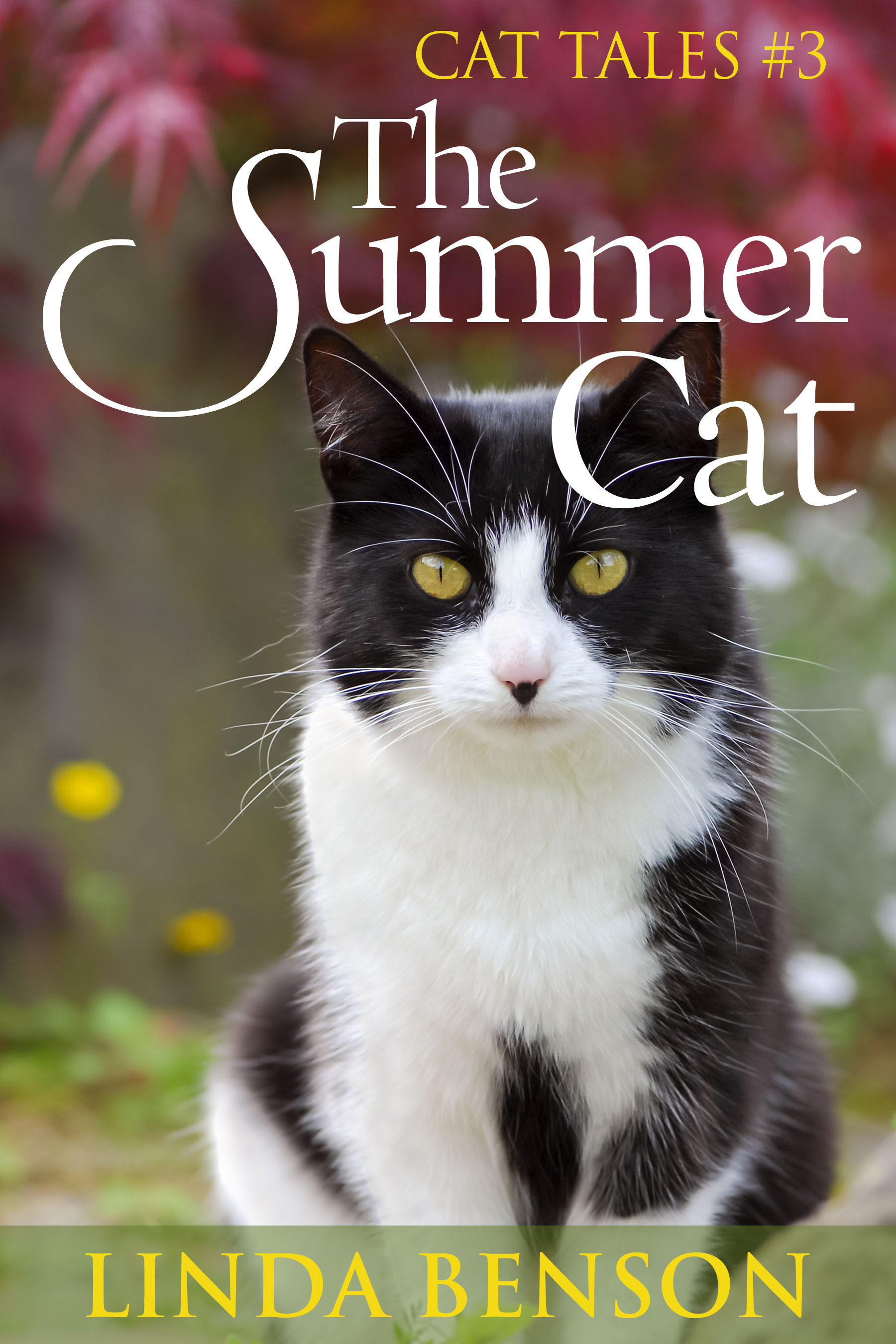 The Summer Cat