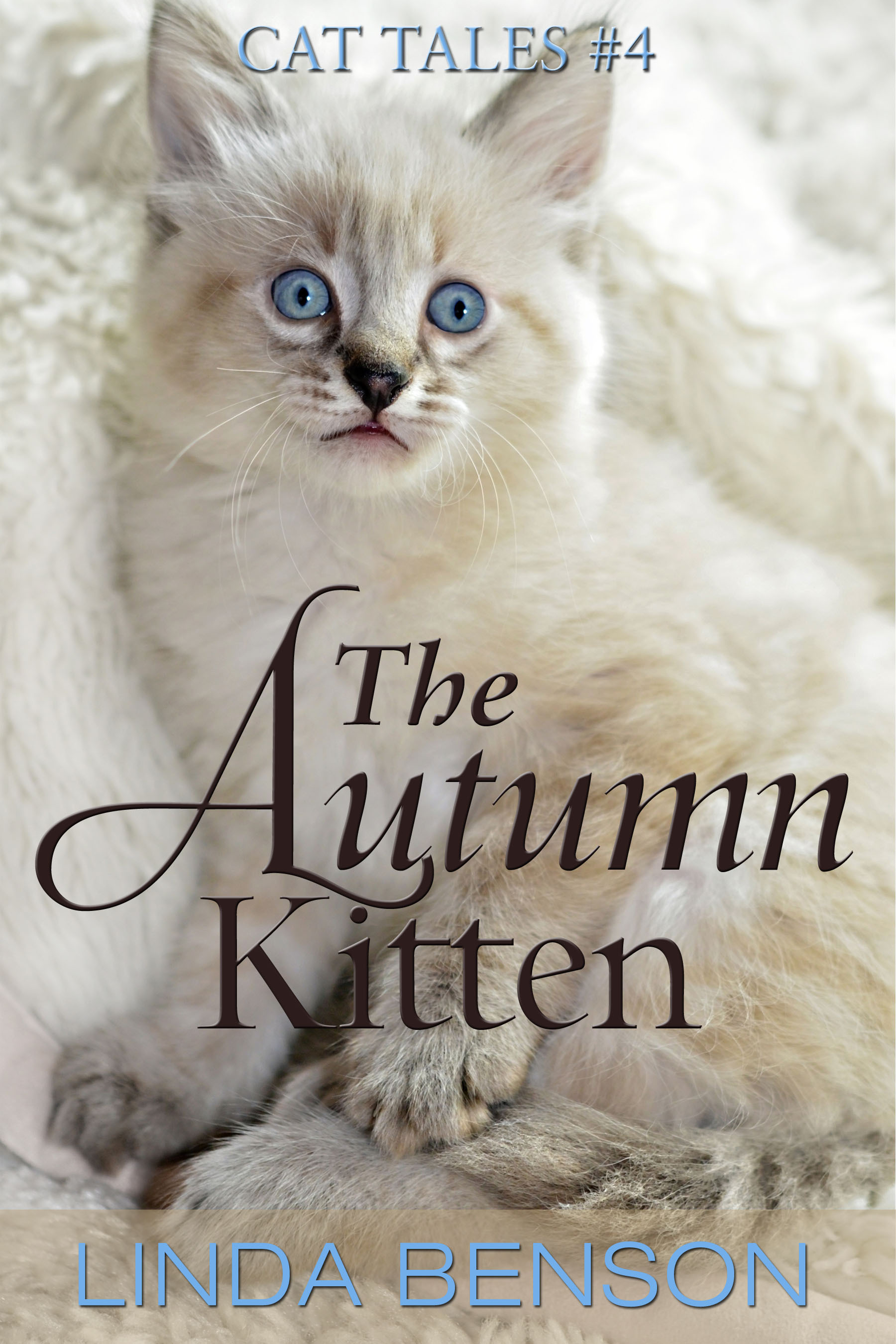 The Autumn Kitten