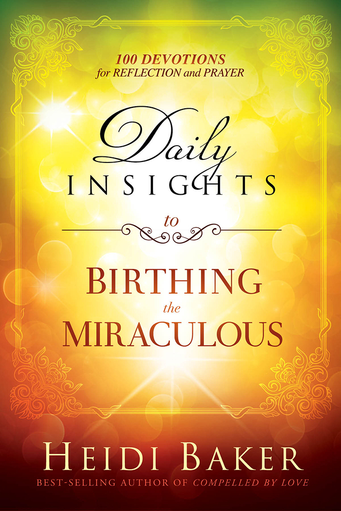 Daily Insights to Birthing the Miraculous book cover