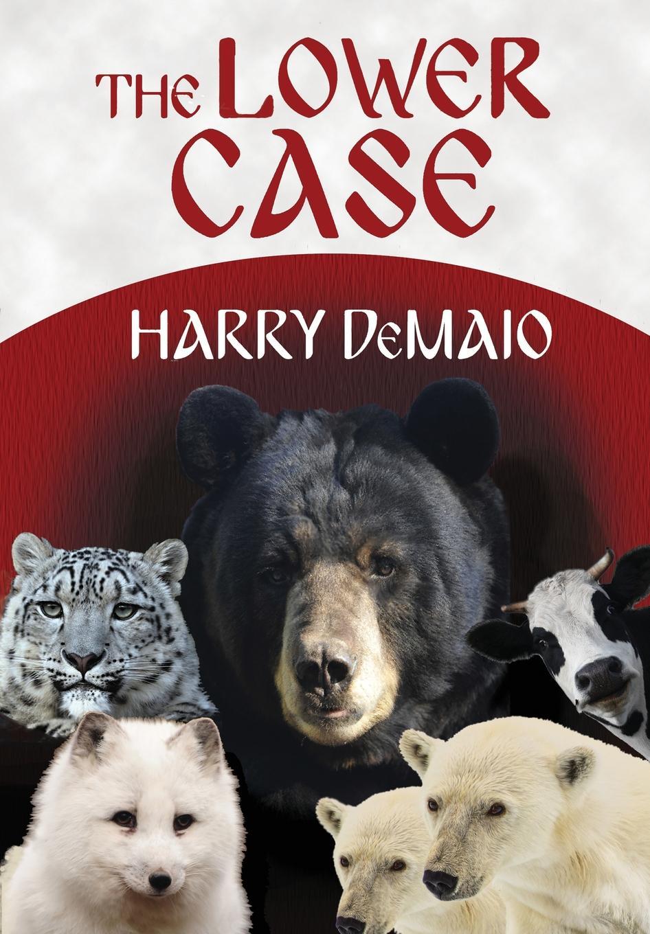 Octavius Bear book cover 3