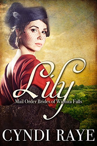 Mail Order Brides of Wichita Falls book cover 3