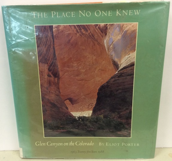 The Place No One Knew book cover
