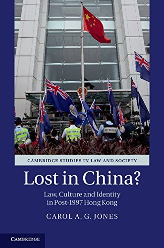 Lost in China? book cover