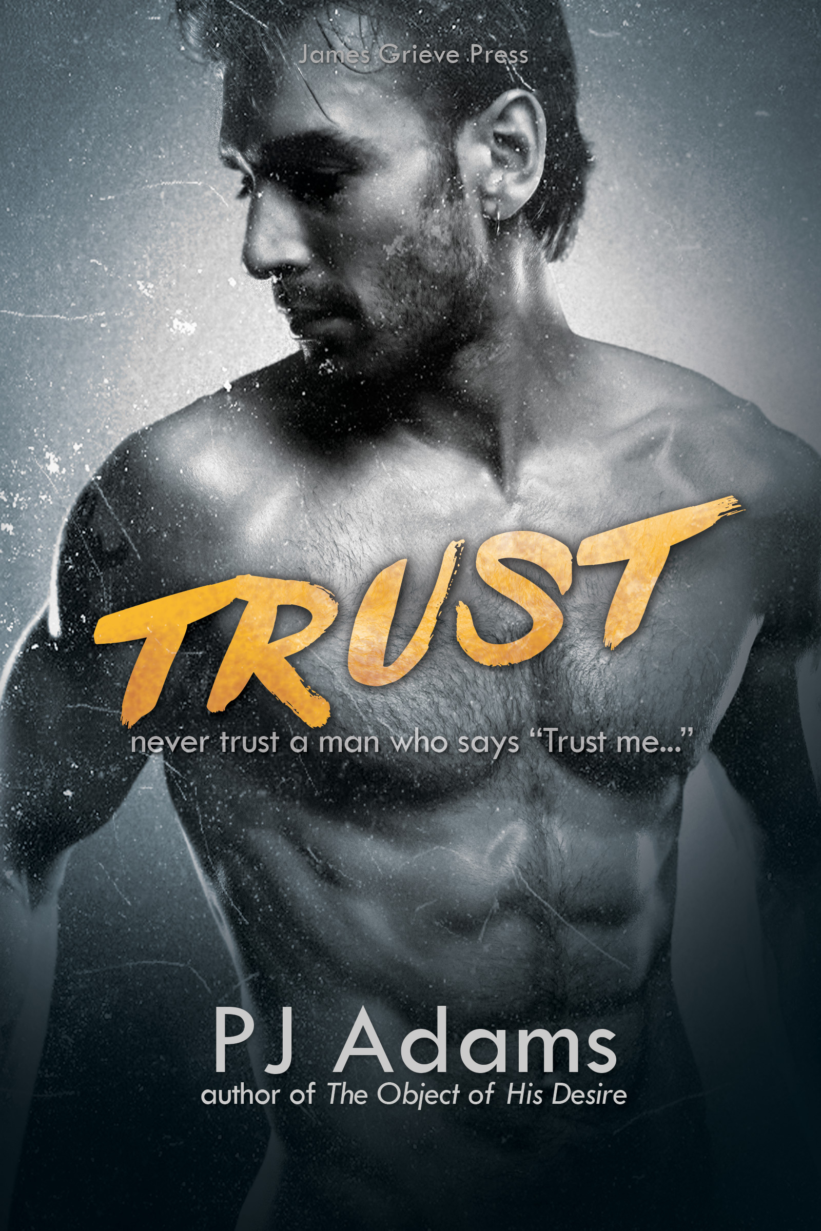 Trust book cover