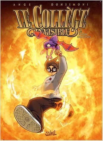 Furor Draconis book cover